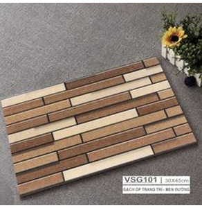 GẠCH ỐP HACERA 30x45