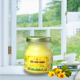 Sữa ong chúa Miền Bắc 100g 